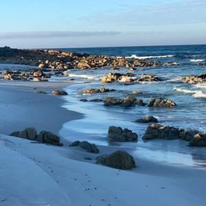 Meet your Posher, Sally